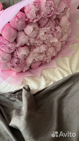 Пионы с доставкой