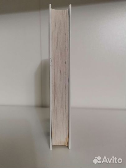 Евгений Чеширко 