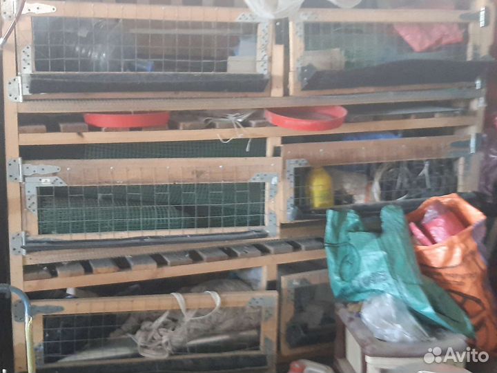 Клетка для птиц броллеров