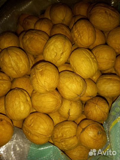 Разные орехи