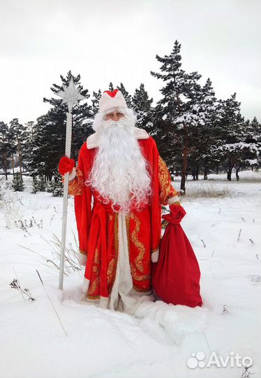 Дед мороз на новый год