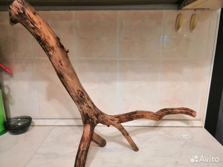 Коряга большая