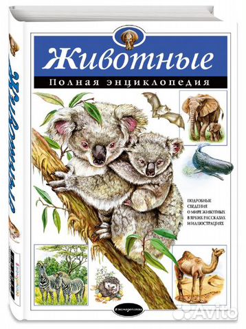 Детские энциклопедии