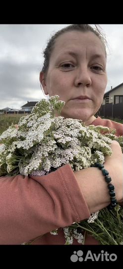 Гидролат тысячелистника, огурца, бархацев, ромашки