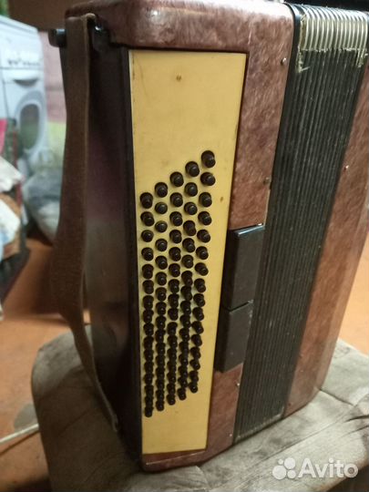 Аккордеон москва