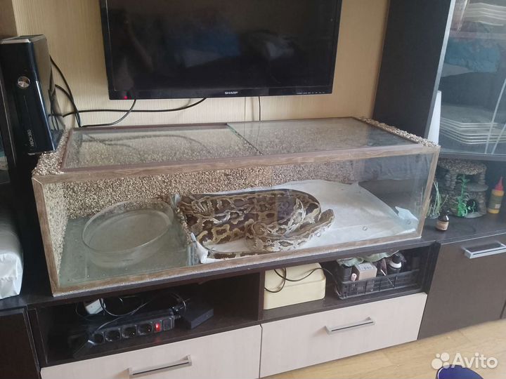 Террариум для рептилий