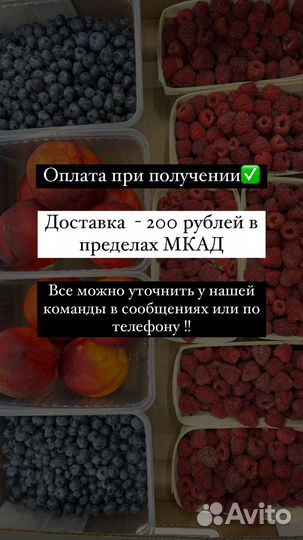 Экзотические фрукты: манго