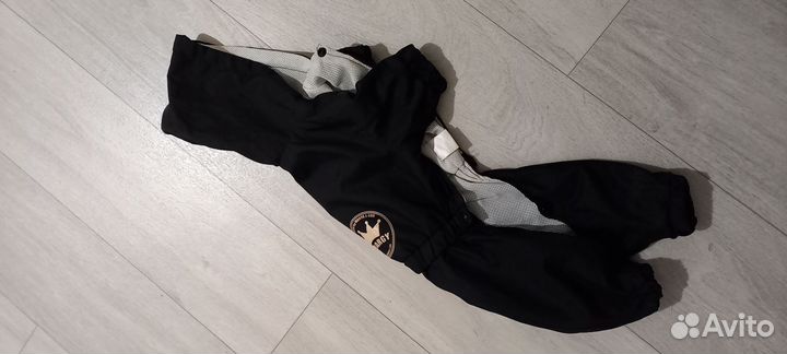 Костюм для собаки