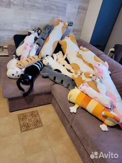 Кот Батон, все размеры до 140см, Хаски, Корги