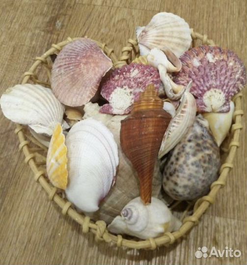 Корзина с ракушками в форме