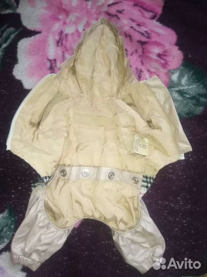 Одежда для собак