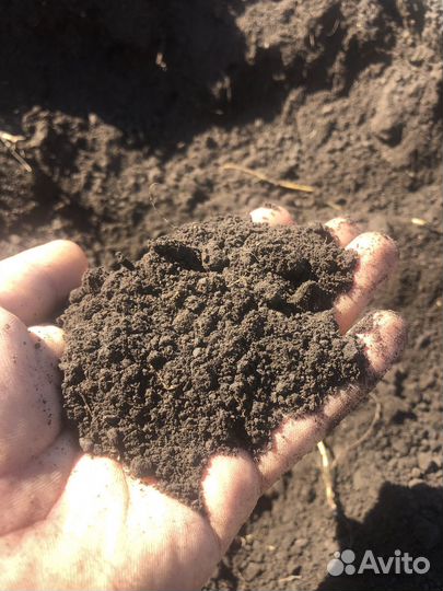 Просеянная земля