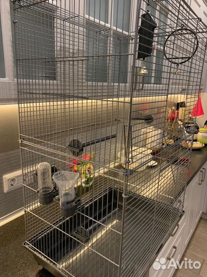 Новая Клетка для попугаев