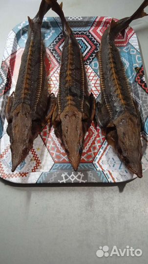 Рыба горячего копчения