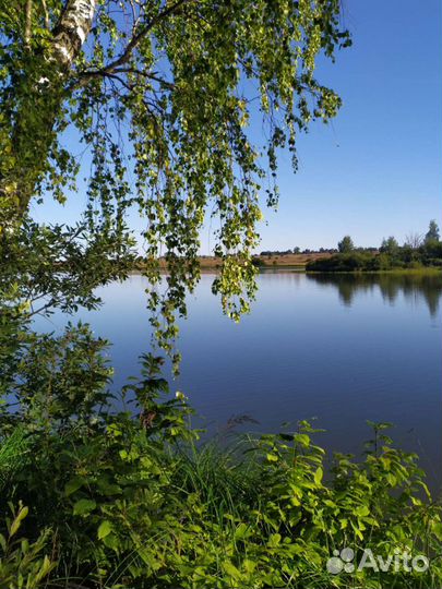 Платная рыбалка