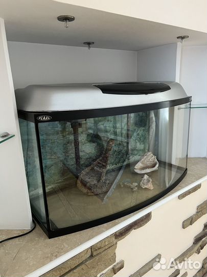 Аквариум