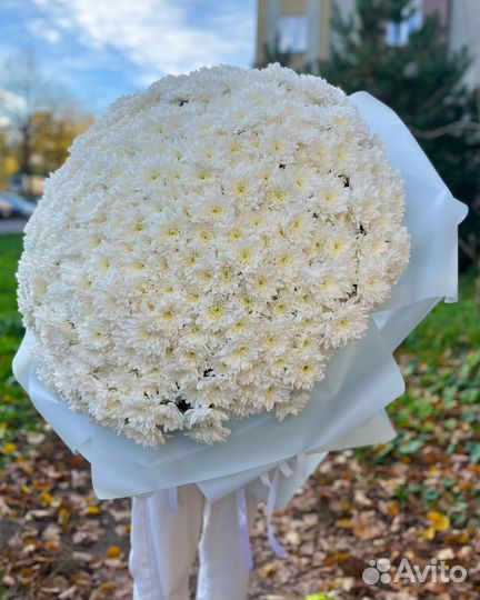 Шикарные букеты из хризантем