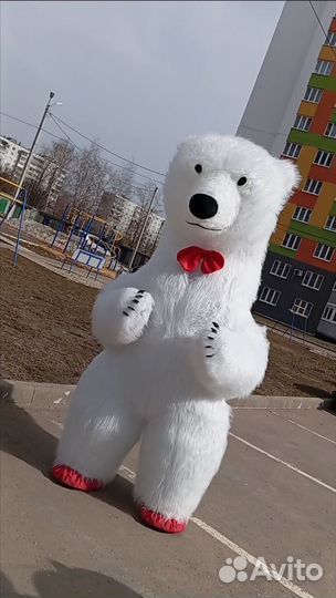 Белый мишка, лисенок, панда, зайчик, поздравление