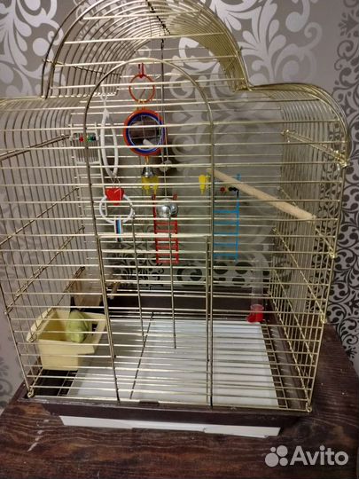 Продаются две большие клетки и белая под попугая