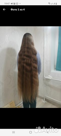 Скупка волос