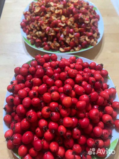 Боярышник сушеный