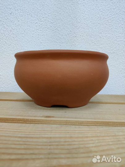 Бонсайницы