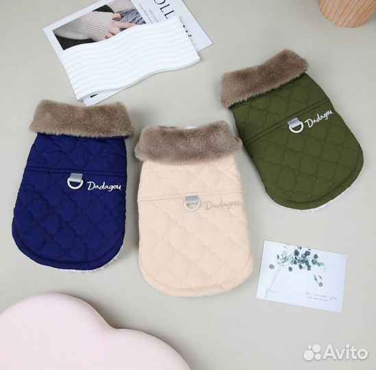 Одежда для собак