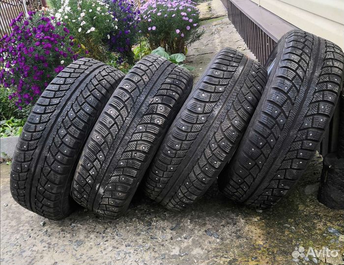 Gislaved Nord Frost 5 195/65 R15
