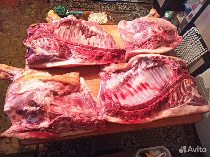 Мясо свинина домашняя