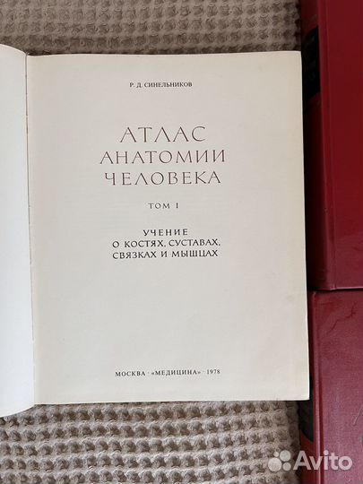 Атлас анатомии человека. Синельников