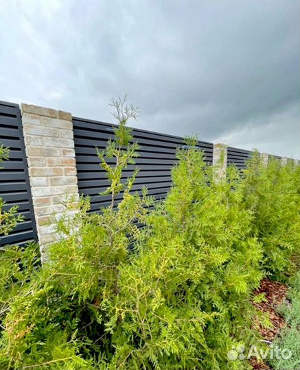 Металлический забор Жалюзи / Ранчо