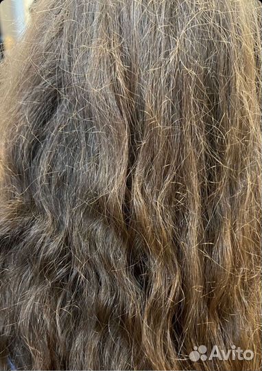 Модель на ботокс волос