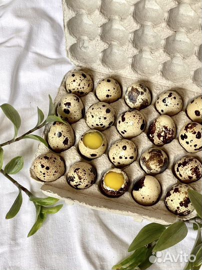 Яйца перепелиные домашние