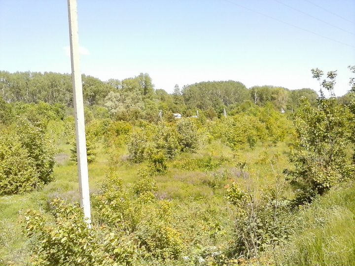 Участок 15 сот. (ИЖС)