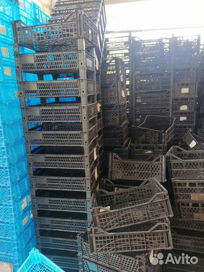 Пластиковые ящики для хранения овощей