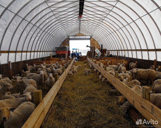 Корм для животных опт/розница