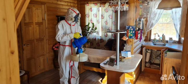 Дезинфекция квартир Уничтожение тараканов клопов м