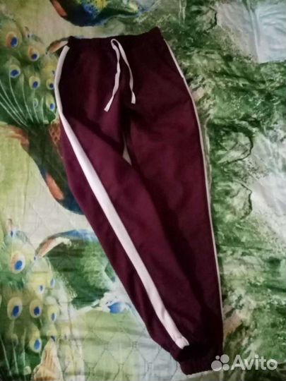 Новые штаны