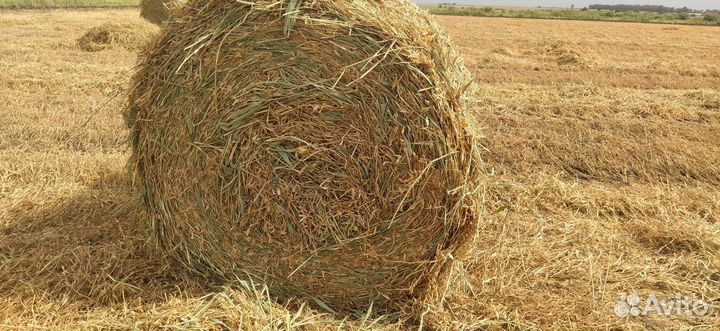 Сено, солома в рулонах