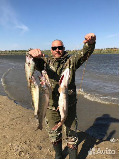 Рыбалка в Астрахани