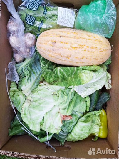 Питание Для Животных