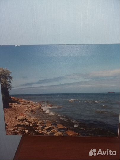 Картина 50 на 40 см