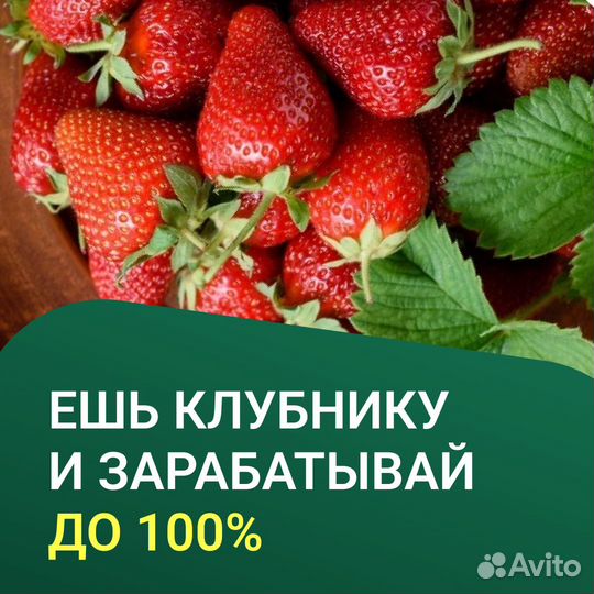 Ищем инвестора-партнера