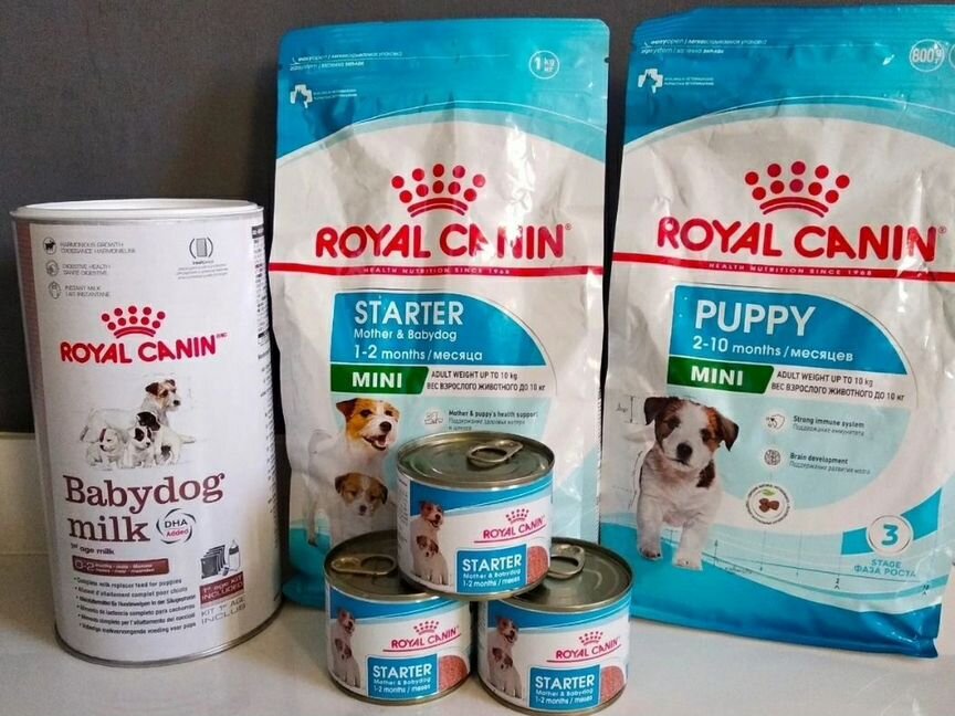 Royal Canin Starter паштет, консервы, сухой корм