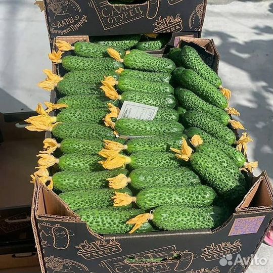 Укладчик-упаковщик (ца)