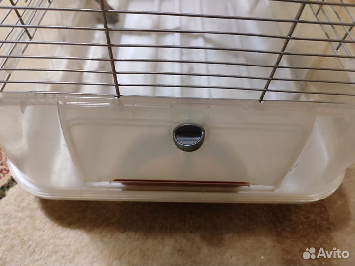 Клетка Германия