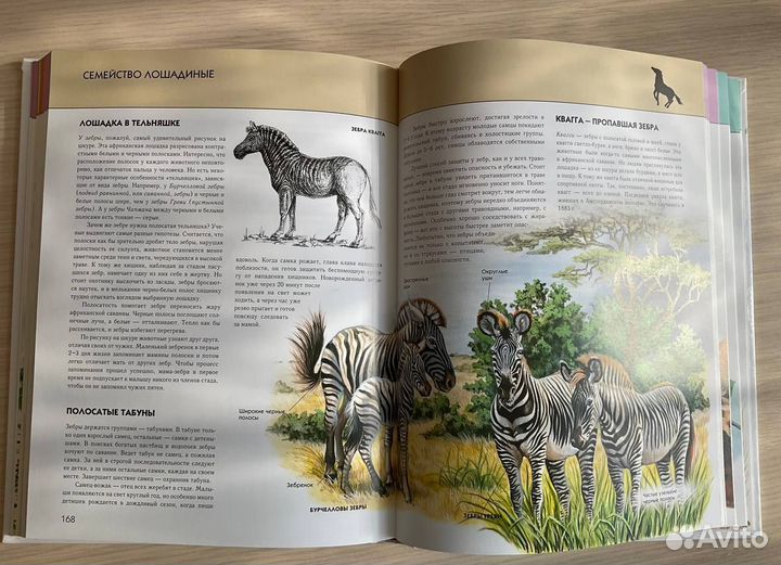 Энциклопедия животных. Книга для школьника