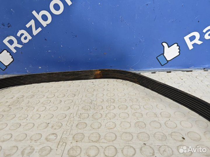 Ремень генератора Renault Duster 2