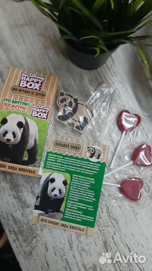Панда Happy Box Исчезающие Животные