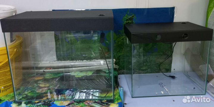 Аквариумы в ассортименте в акватропике